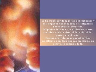 Ya ha transcurrido la mitad del embarazo y mis órganos han madurado y si llegara a nacer podría sobrevivir. Mi piel es delicada y ya utilizo los cuatro sentidos: el de la vista, el del oído, el del gusto y el del tacto.  Estamos entrelazadas por mi cordón umbilical y a medida que voy creciendo me estoy alimentando de ti. 