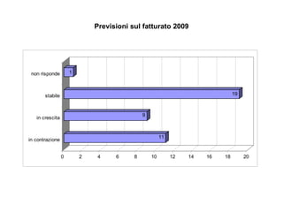 Previsioni sul fatturato 2009 