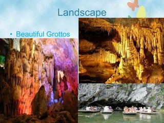 Landscape
• Beautiful Grottos
 