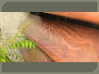 Dum -Designer Metal Finishing