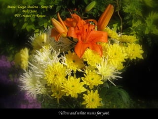 Yellow and white mums for you!  Music: Diego Modena - Song Of Baby Jane PPS created by Raissa 