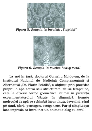 Figura 5. Reacţia la insultă: „Stupido!”
Figura 6. Reacţia la muzica heavy metal
La noi în ţară, doctorul Corneliu Moldovan, de la
Institutul Naţional de Medicină Complementară şi
Alternativă „Dr. Florin Brătilă”, a obţinut, prin procedee
proprii, o apă activă sau structurată, de uz terapeutic,
care ia diverse forme geometrice, numai în prezenţa
experimentatorului. Văzute în dinamică, formele
moleculei de apă se schimbă încontinuu, devenind, rând
pe rând, sferă, pentagon, octogon etc. Pur şi simplu apa
lasă impresia că intră intr-un animat dialog cu omul.
 