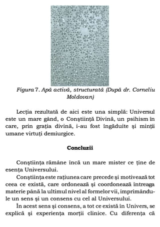 Figura 7. Apă activă, structurată (După dr. Corneliu
Moldovan)
Lecţia rezultată de aici este una simplă: Universul
este un mare gând, o Conştiinţă Divină, un psihism în
care, prin graţia divină, i-au fost îngăduite şi minţii
umane virtuţi demiurgice.
Concluzii
Conştiinţa rămâne încă un mare mister ce ţine de
esenţa Universului.
Conştiinţa este raţiunea care precede şi motivează tot
ceea ce există, care ordonează şi coordonează întreaga
materie până la ultimul nivel al formelorvii, imprimându-
le un sens şi un consens cu cel al Universului.
În acest sens şi consens, a tot ce există în Univers, se
explică şi experienţa morţii clinice. Cu diferenţa că
 