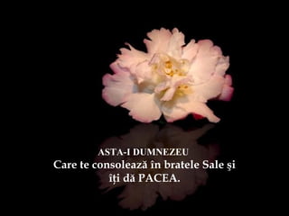 ASTA-I DUMNEZEU
Care te consolează în bratele Sale şi
îţi dă PACEA.
 