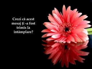 Crezi că acest
mesaj ţi -a fost
trimis la
întâmplare?
 