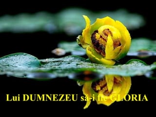 Lui DUMNEZEU să-i fie GLORIA
 