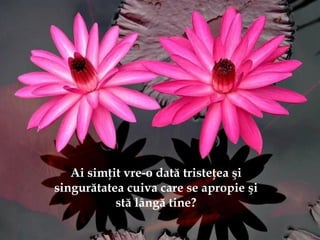 Ai simţit vre-o dată tristeţea şi
singurătatea cuiva care se apropie şi
stă lângă tine?
 