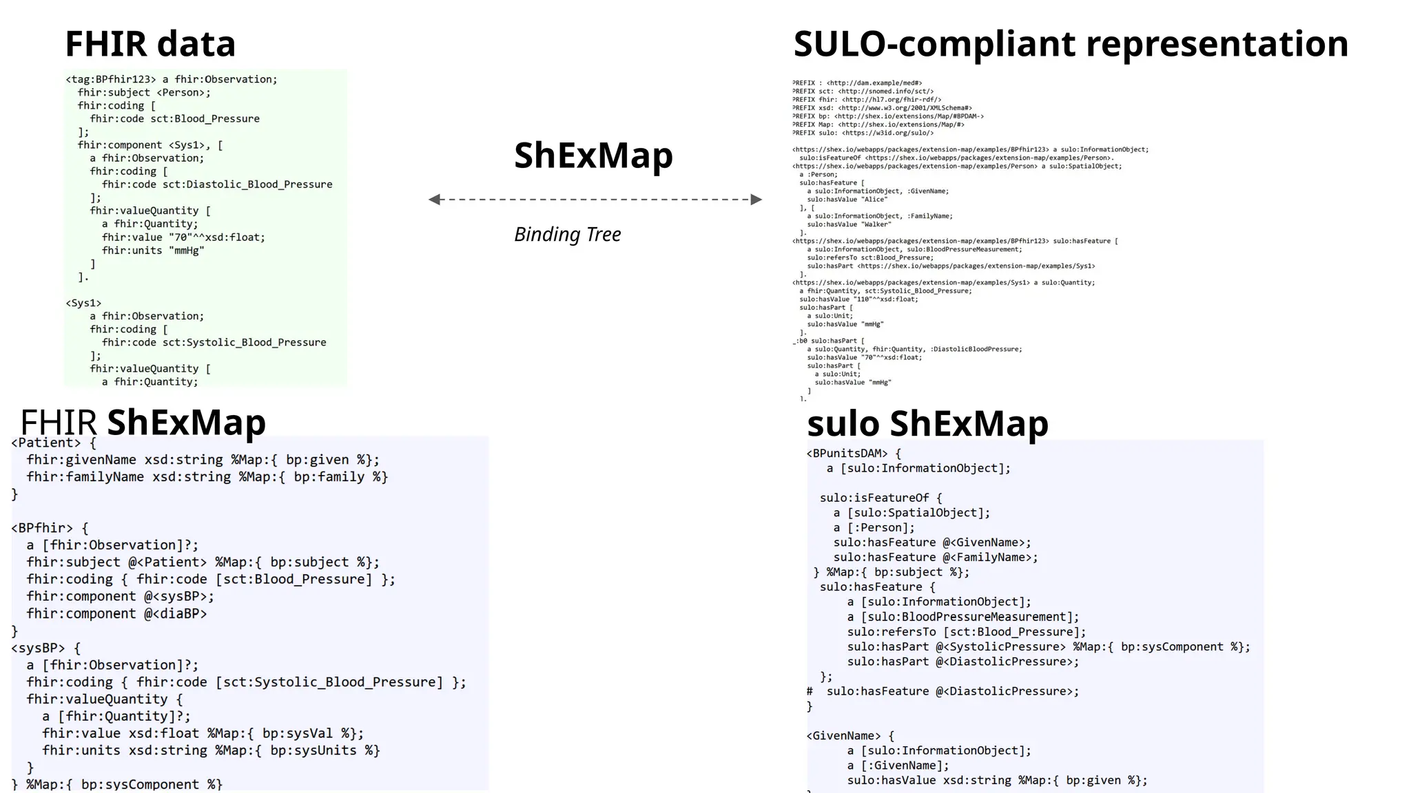 FHIR data
FHIR ShExMap sulo ShExMap
SULO-compliant representation
ShExMap
Binding Tree
 