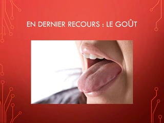EN DERNIER RECOURS : LE GOÛT
 