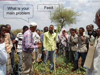 Rapid livestock feed assessment tools to support intervention strategies:  FEAST and Techfit