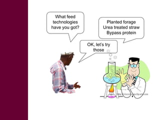 Rapid livestock feed assessment tools to support intervention strategies:  FEAST and Techfit