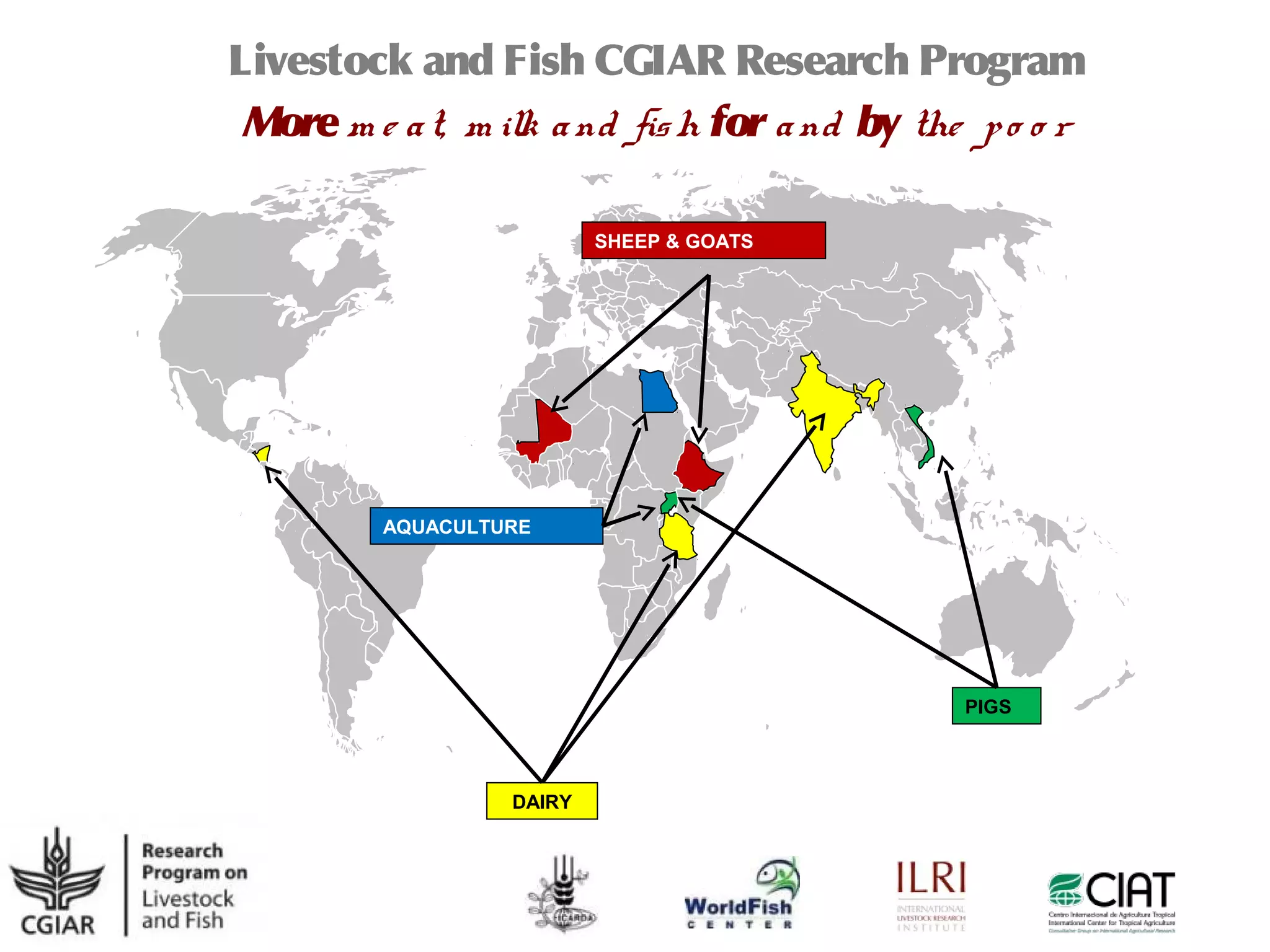 Livestock and Fish CGIAR Research Program
 More m e a t, m ilk a nd fis h for a nd by the p o o r

                          SHEEP & GOATS




         AQUACULTURE




                                               PIGS



                  DAIRY
 