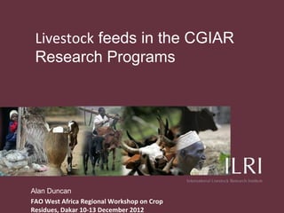 Livestock feeds in the CGIAR
 Research Programs




Alan Duncan
FAO West Africa Regional Workshop on Crop
Residues, Dakar 10-13 December 2012
 