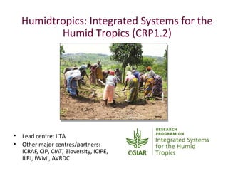 Livestock feeds in the CGIAR Research Programs