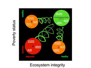 Livestock feeds in the CGIAR Research Programs