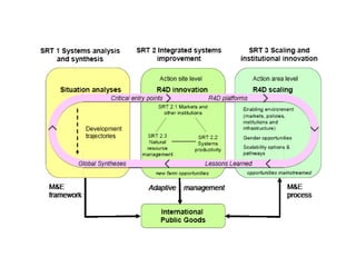 Livestock feeds in the CGIAR Research Programs