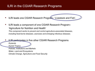 ILRI in the CGIAR Research Programs


   ILRI leads one CGIAR Research Program– ‘Livestock and Fish’.

   ILRI leads a c...