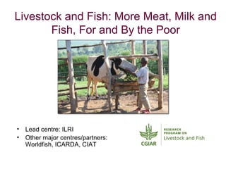 Livestock feeds in the CGIAR Research Programs