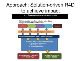 Livestock feeds in the CGIAR Research Programs
