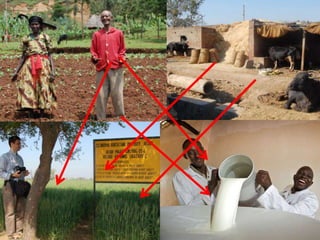 Innovation platforms as spaces for rural change – some experiences from ILRI