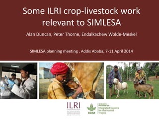 Some ILRI crop-livestock work
relevant to SIMLESA
Alan Duncan, Peter Thorne, Endalkachew Wolde-Meskel
SIMLESA planning meeting , Addis Ababa, 7-11 April 2014
 