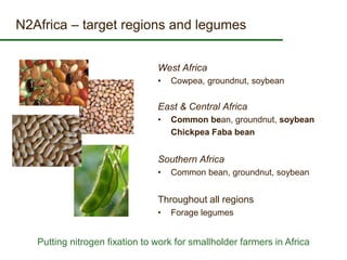 Some ILRI crop-livestock work relevant to SIMLESA