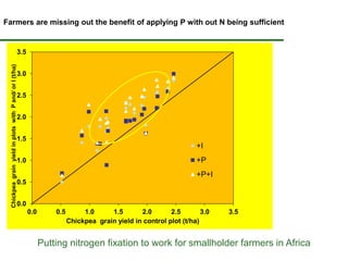 Some ILRI crop-livestock work relevant to SIMLESA