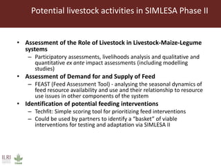 Some ILRI crop-livestock work relevant to SIMLESA