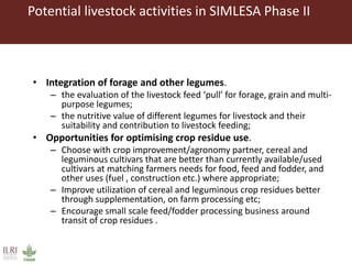 Some ILRI crop-livestock work relevant to SIMLESA