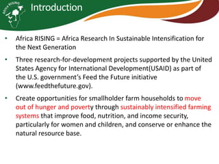 Some ILRI crop-livestock work relevant to SIMLESA