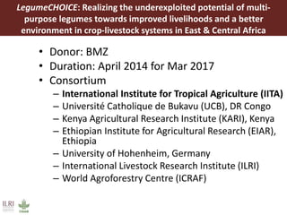 Some ILRI crop-livestock work relevant to SIMLESA