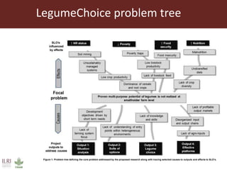 Some ILRI crop-livestock work relevant to SIMLESA