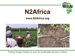 Some ILRI crop-livestock work relevant to SIMLESA