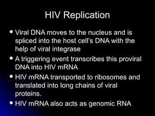 HIV ReplicationHIV Replication
 Viral DNA moves to the nucleus and isViral DNA moves to the nucleus and is
spliced into the host cell’s DNA with thespliced into the host cell’s DNA with the
help of viral integrasehelp of viral integrase
 A triggering event transcribes this proviralA triggering event transcribes this proviral
DNA into HIV mRNADNA into HIV mRNA
 HIV mRNA transported to ribosomes andHIV mRNA transported to ribosomes and
translated into long chains of viraltranslated into long chains of viral
proteins.proteins.
 HIV mRNA also acts as genomic RNAHIV mRNA also acts as genomic RNA
 