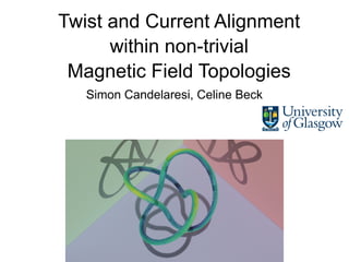 Twist and Current Alignment
within non-trivial
Magnetic Field Topologies
Simon Candelaresi, Celine Beck
 