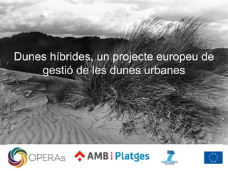Dunes híbrides, un projecte europeu de
gestió de les dunes urbanes
 