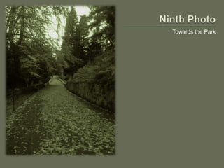 Towards the Park
 