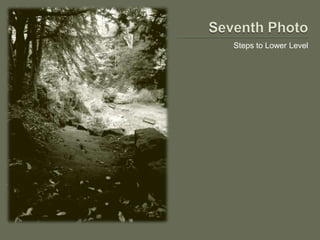 Steps to Lower Level
 