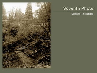 Steps to The Bridge
 