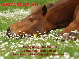 Đừng đóng cửa trái tim
và ngăn cản tình yêu đến
chỉ vì bạn nghĩ không thể nào tìm ra nó.
 