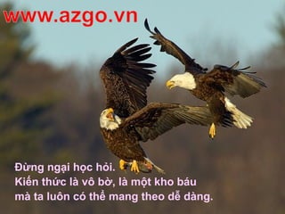 Đừng ngại học hỏi.
Kiến thức là vô bờ, là một kho báu
mà ta luôn có thể mang theo dễ dàng.
 