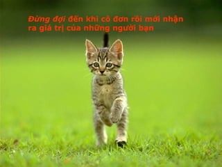 Đừng đợi  đến khi cô đơn rồi mới nhận ra giá trị của những người bạn 