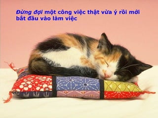 Đừng đợi  một công việc thật vừa ý rồi mới bắt đầu vào làm việc 