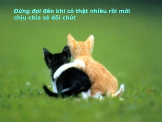 Đừng đợi  đến khi có thật nhiều rồi mới chịu chia sẻ đôi chút 