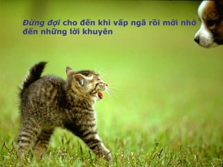 Đừng đợi  cho đến khi vấp ngã rồi mới nhớ đến những lời khuyên 