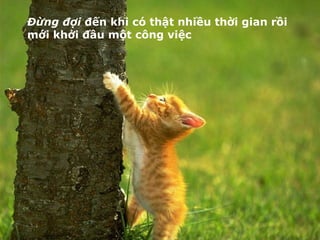 Đừng đợi  đến khi có thật nhiều thời gian rồi mới khởi đầu một công việc 