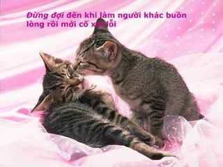 Đừng đợi  đến khi làm người khác buồn lòng rồi mới cố xin lỗi 