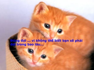 Đừng đợi ... vì không thể biết bạn sẽ phải
đợi trong bao lâu...

 