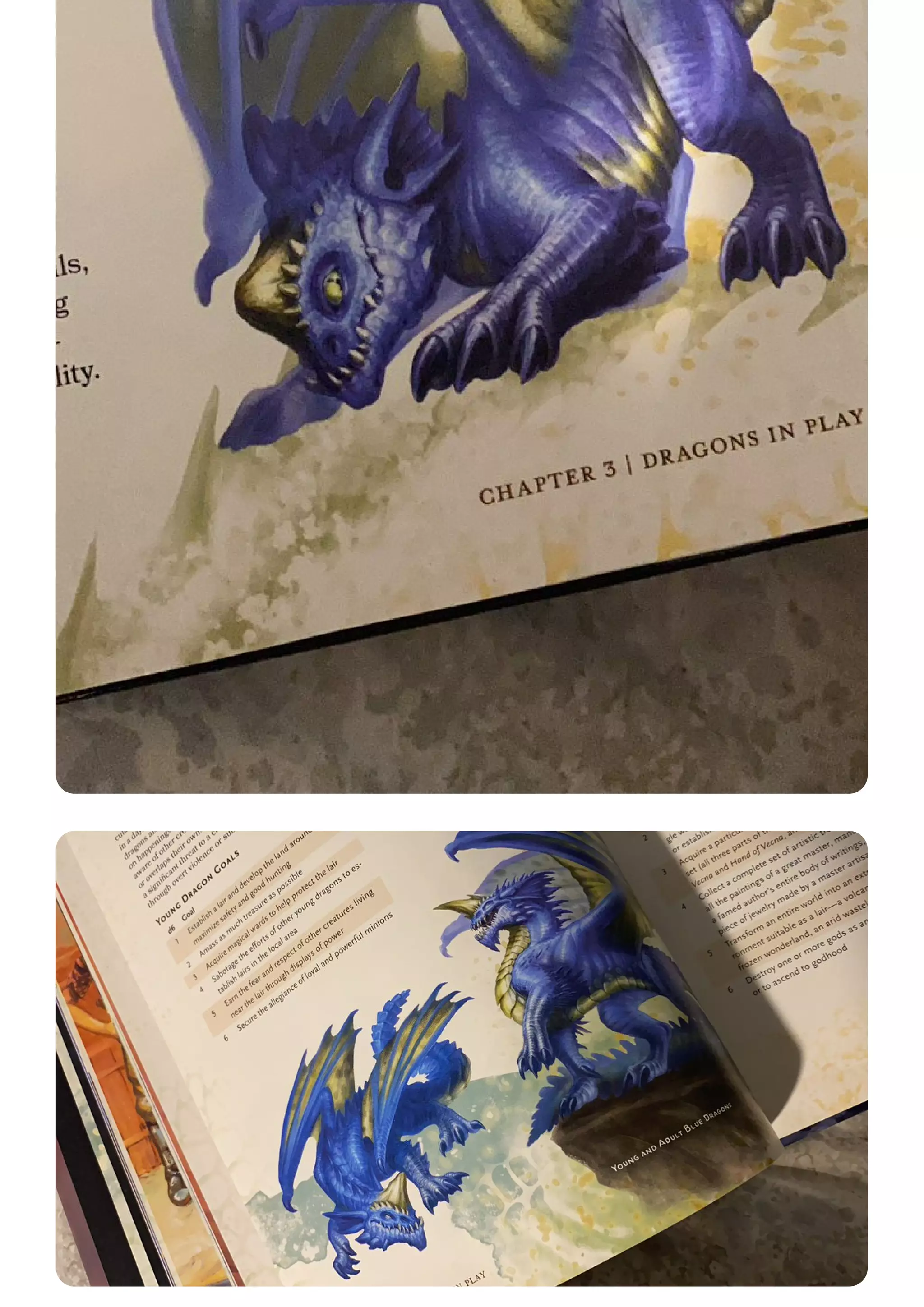 Dungeons & dragons fizban's treasury of dragons | PDF | Roleplaying
