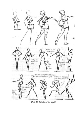 Hình 20. Kết cấu cơ thể người
 